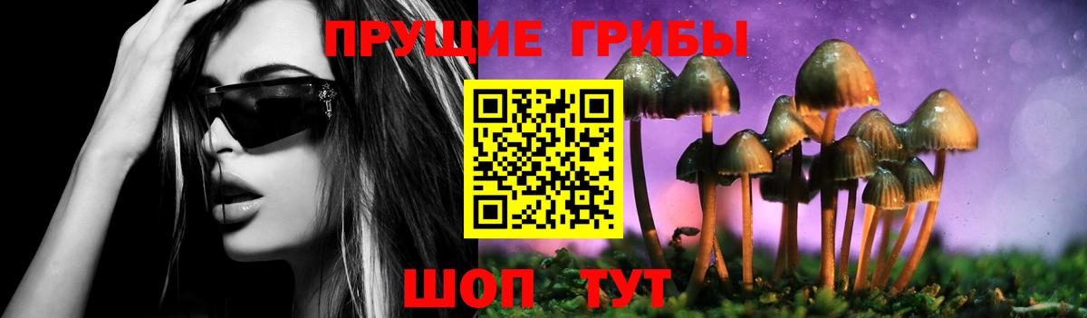 Туапсе  Псилоцибиновые грибы ЛСД  Вход с VPN  Галлюциногенные грибы мухоморы 